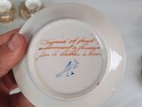 a person holding a white plate with a blue bird on it
