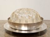 a silver plate with a clear glass dome on it