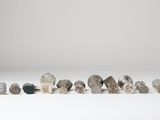 a group of rocks sitting on top of a white surface