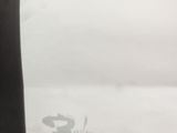 a piece of paper with a drawing of a cat on it