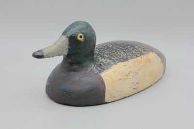 un canard posé sur une surface blanche