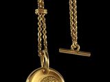 a close up of a gold necklace on a black background
