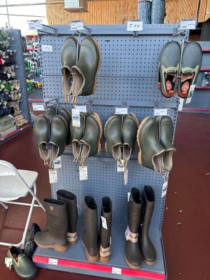 many pairs of rubber boots on display in a store
