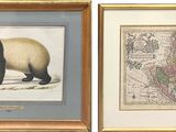 two framed pictures of a bear and a map