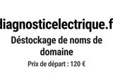 Photo 1/1 du lot