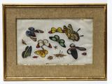 three framed pictures of birds and flowers on a white background