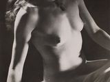 Photo 1/1 du lot