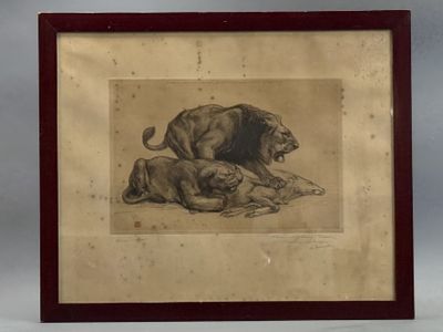 une vieille photo représentant un lion et une lionne allongés par terre