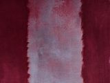 the cover of a book with red and white stripes on it