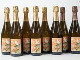 six bouteilles de vin sont alignées sur une surface blanche