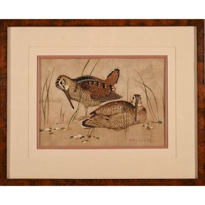 two birds in a field with grass and rocks in the foreground
