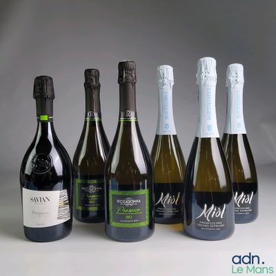 plusieurs bouteilles de vin sont alignées sur une table