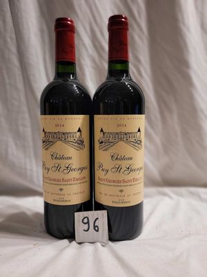Château Puy Saint Georges 2014 - Lot de 2 Bouteilles de Vin Rouge