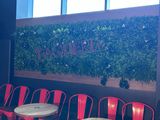 tables and chairs in front of a wall with a plant growing on it