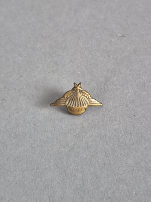 un gros plan d'une broche en or ornée d'un coquillage