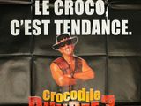 Photo 4/6 du lot