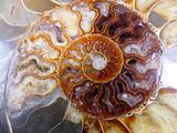 a close up of a plate of food with a spiral design on it