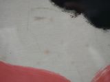 a close up of a cow ' s back with a red and white design on it