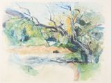 une image représentant une aquarelle d'un arbre au bord d'une rivière