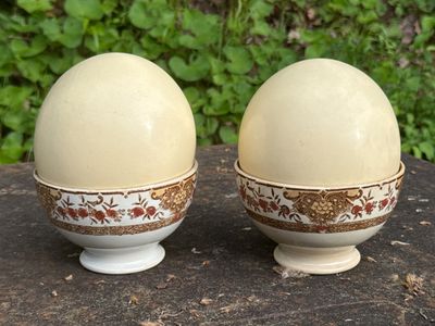 2 œufs d'autruche, l'un fêlé