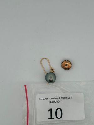 a close up of a pair of earrings on a white surface