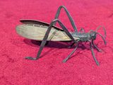a small insect that is sitting on a red surface