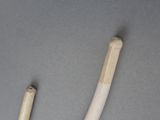 two toothbrushes sitting on a table next to each other