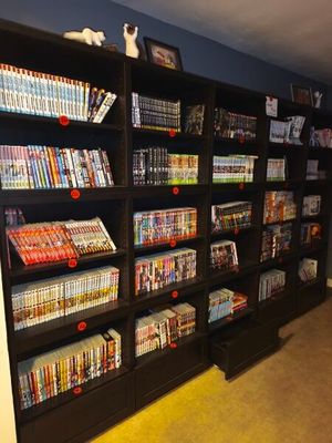 a book shelf with many dvds on it in a room