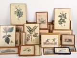 de nombreuses photos encadrées de plantes et de fleurs accrochées au mur
