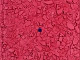 un petit objet bleu au milieu d'un tas de briques rouges