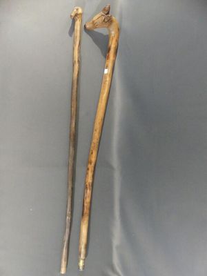 two old walking sticks are on display in a glass case