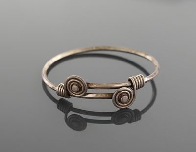 Arthus Bertrand pour la Réunion des Musées Nationaux