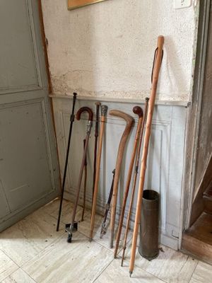 de nombreux types de cannes alignées contre un mur