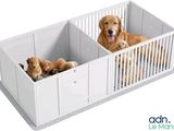 deux chiens et un chat assis dans une cage blanche