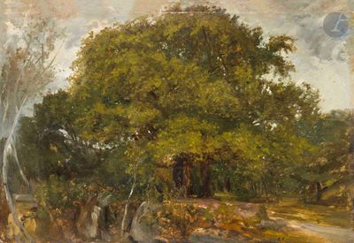 tableau représentant un grand arbre au milieu d'une zone boisée