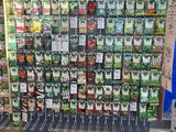 un vaste choix de plantes à semer dans un magasin