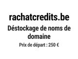 Photo 1/1 du lot