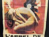 french movie poster for la pel de la chair