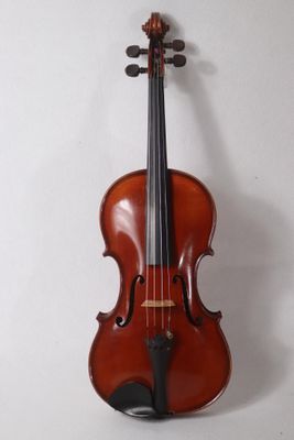 gros plan d'un violon sur fond blanc