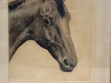a drawing of a horse in a frame on the wall