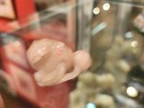 une vitrine en verre contenant un tas de beignets