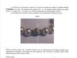 Photo 4/4 du lot