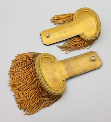 une paire de brosses à cheveux de couleur dorée, ornées de franges, sur un fond blanc