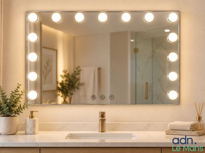 a bathroom vanity with a lighted mirror and a plant