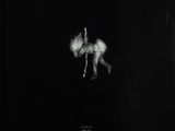 an old black and white photo of a horse in the dark