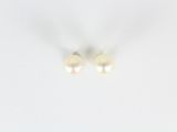 une paire de boucles d'oreilles en perles sur fond blanc