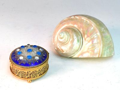 un coquillage et une bague posés l'un à côté de l'autre sur une table