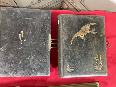 Lot de 2 albums photo fin XIXe - début Xxè