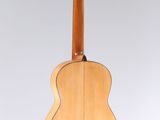 a close up of a guitar on a white background