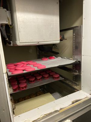 Congélateur PANEM capacité double grilles Vente à l'Hôtel de…